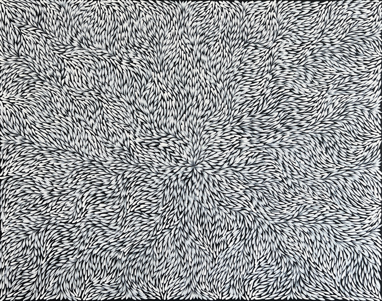 Bush Medicine Leaves