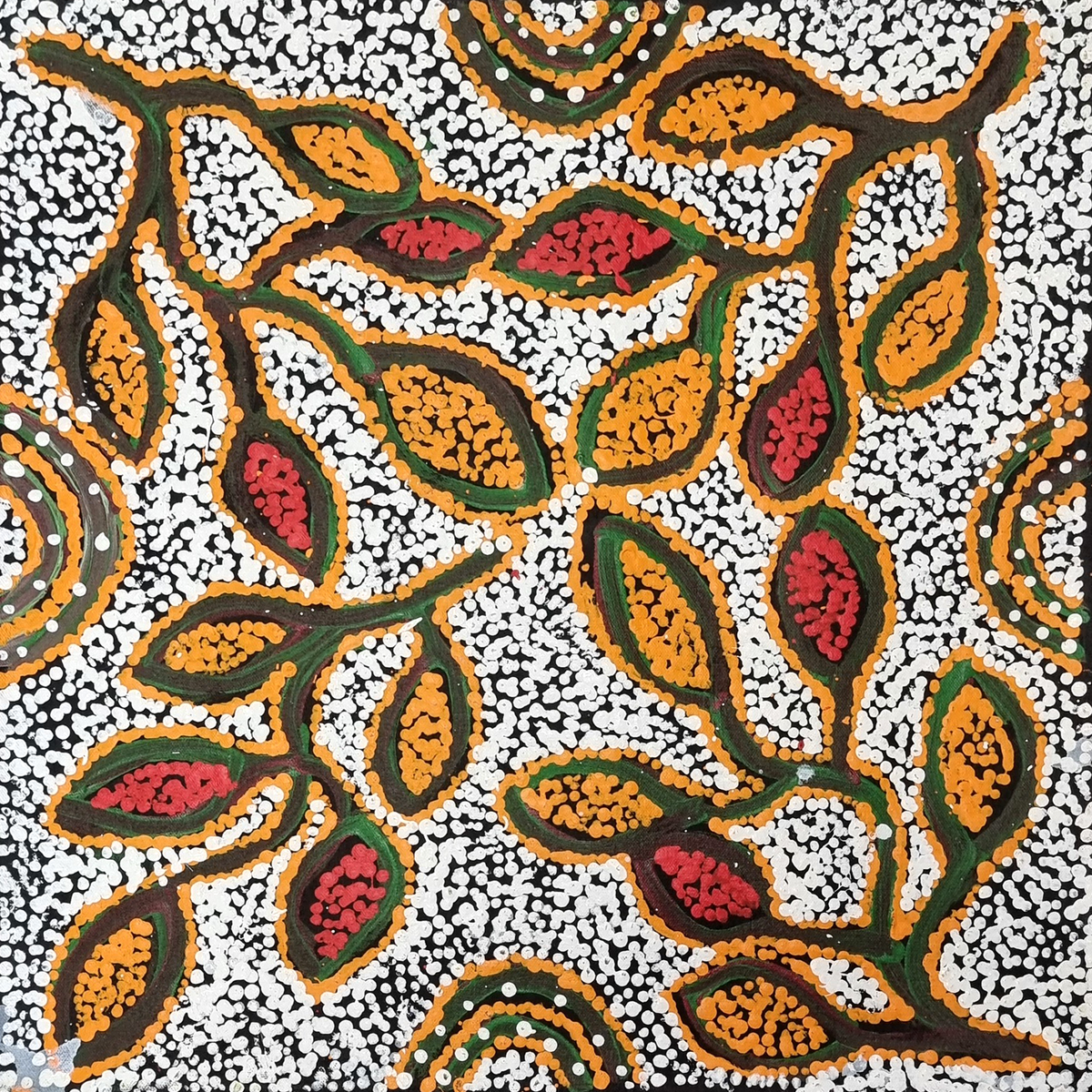Ngapa Jukurrpa (Water Dreaming) Mikanji