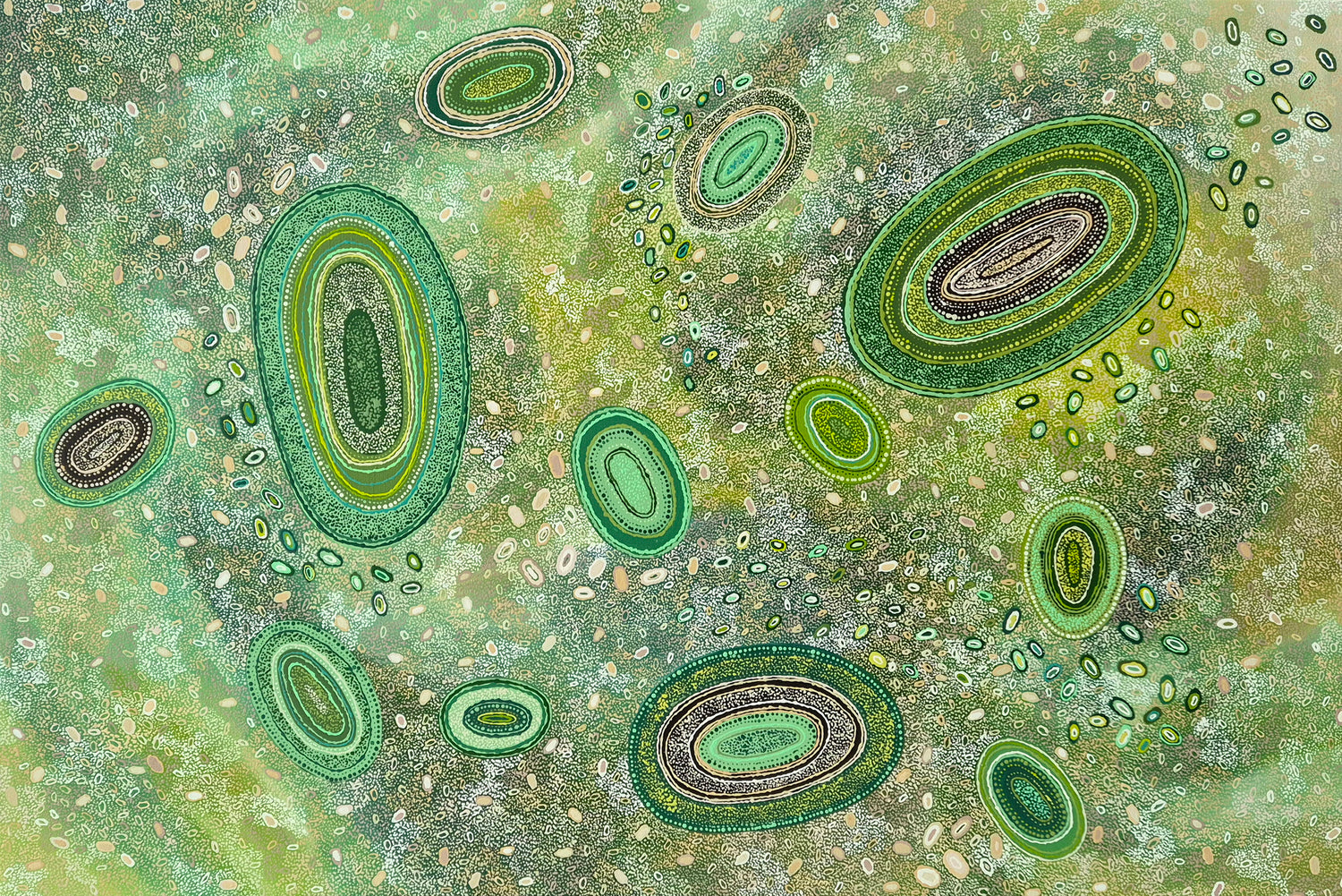 Tjala Dreaming (Honey Ant)