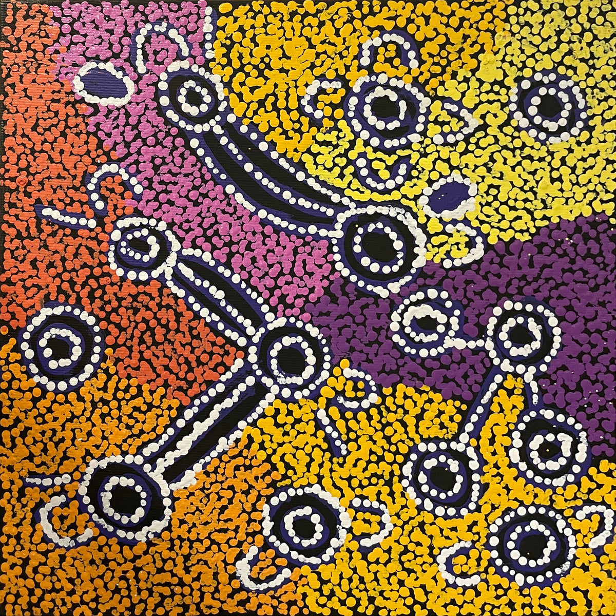 Wardapi Jukurrpa (Goanna Dreaming) - Yarripilangu