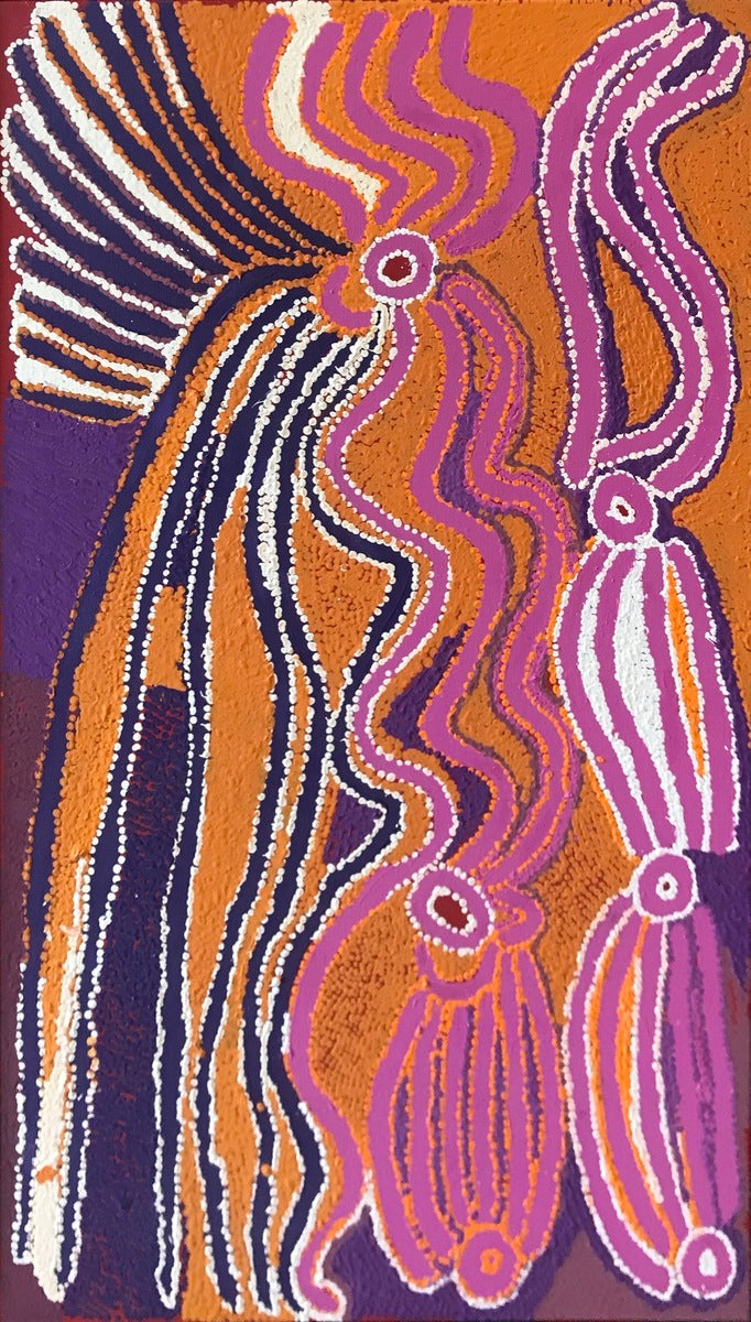 Wakirlpirri Jukurrpa (Dogwood Tree Dreaming)