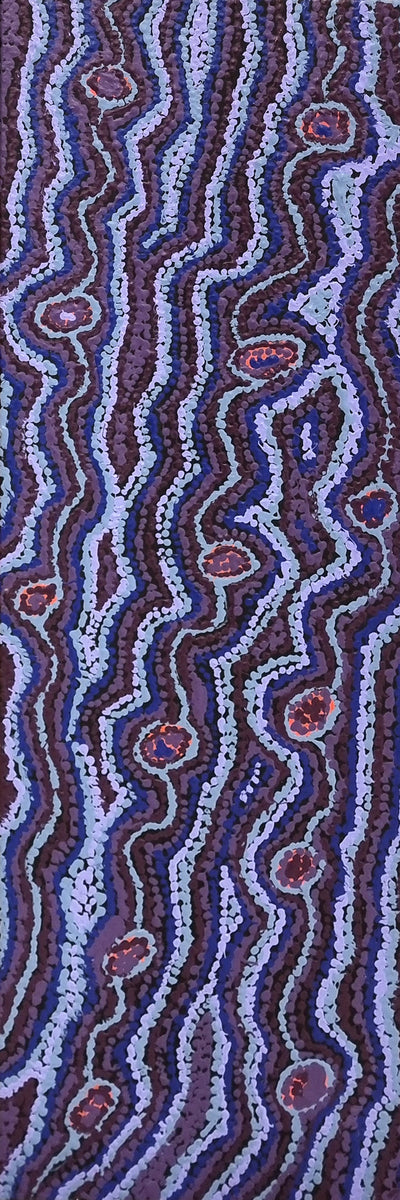 Lappi Lappi Jukurrpa (Lappi Lappi Dreaming)