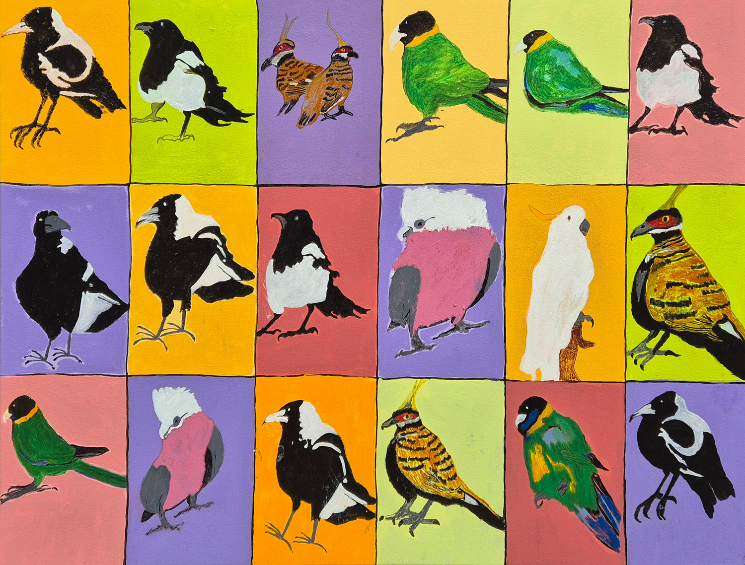 Birds of Ernabella