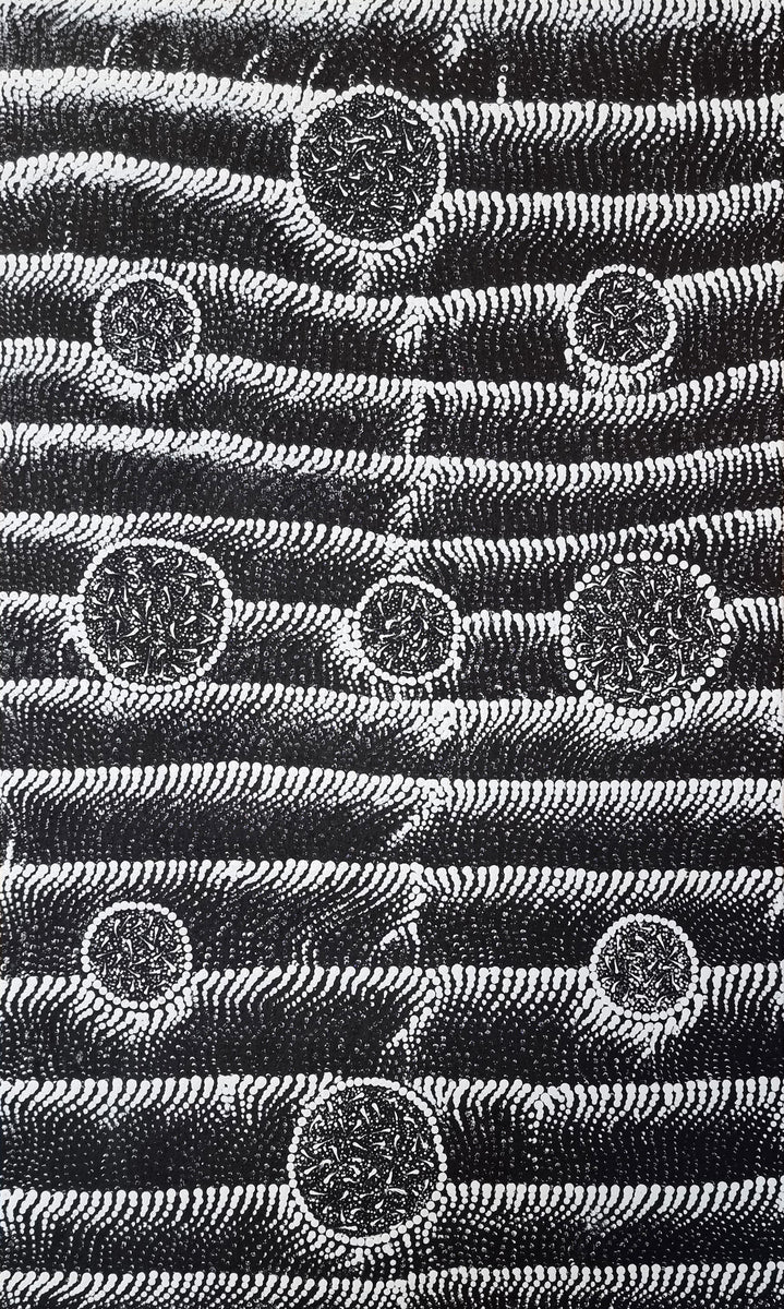 Pampardu Jukurrpa (Flying Ant Dreaming) Warntungurru