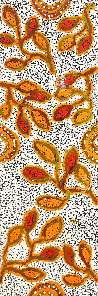 Ngapa Jukurrpa (Water Dreaming) Mikanji