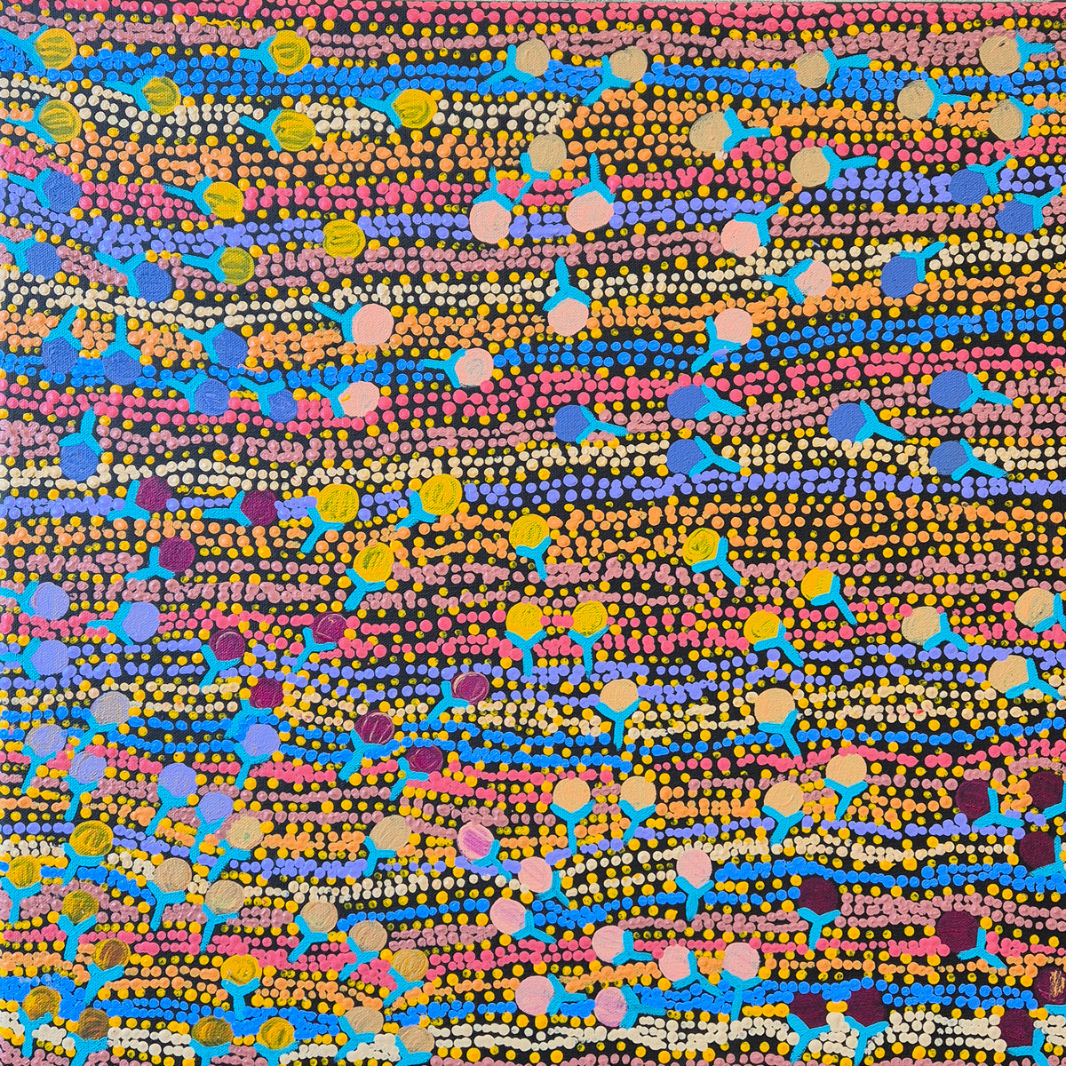 Wanakiji Jukurrpa (Bush Tomato Dreaming)