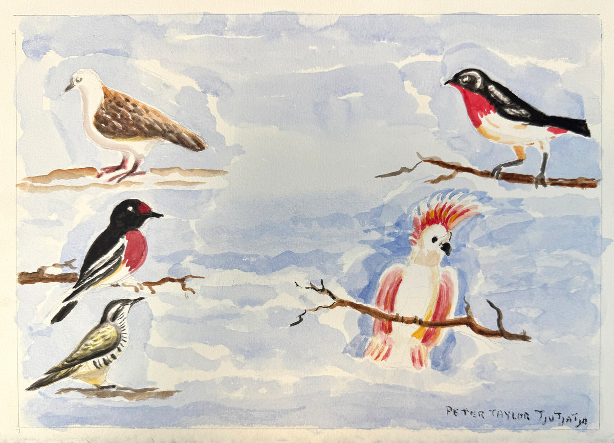 Australian Birds