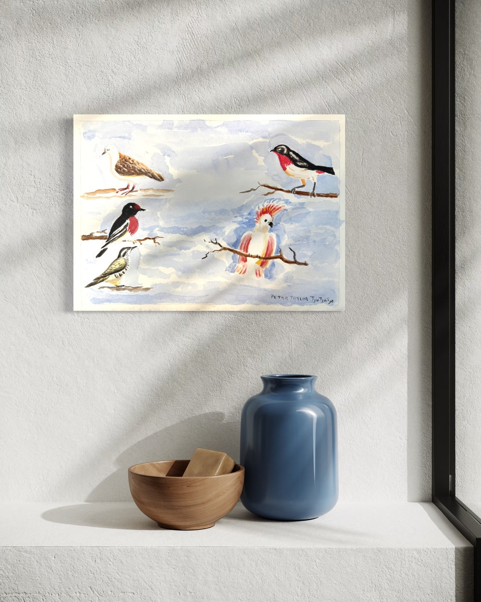 Australian Birds