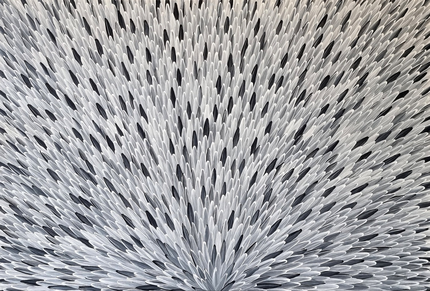 Ankerre Jukurrpa (Emu Feathers)