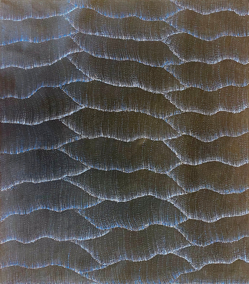 Wanakiji Jukurrpa (Bush Tomato Dreaming)