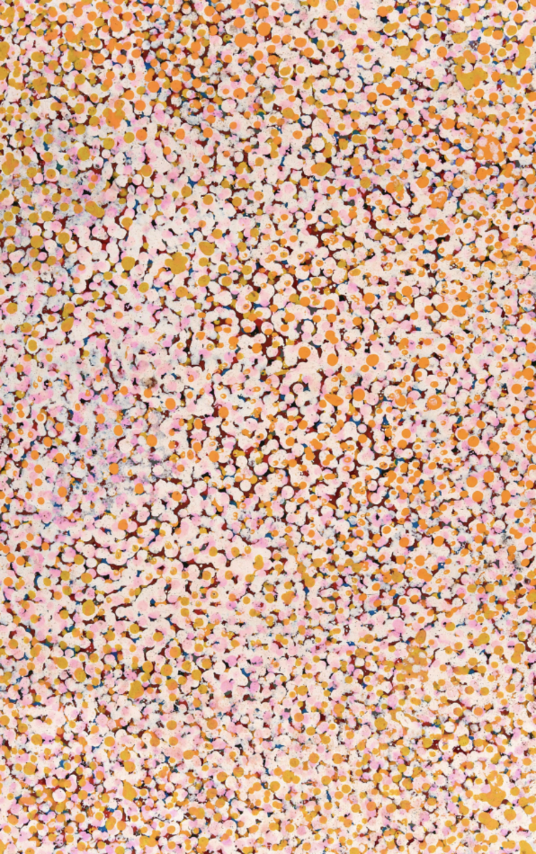 Bush Plum Dreaming