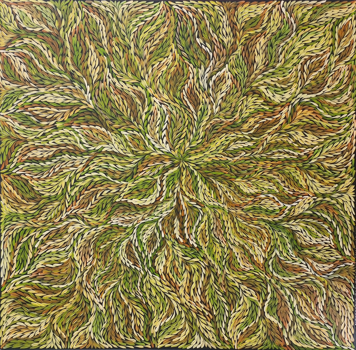 Bush Medicine Leaves