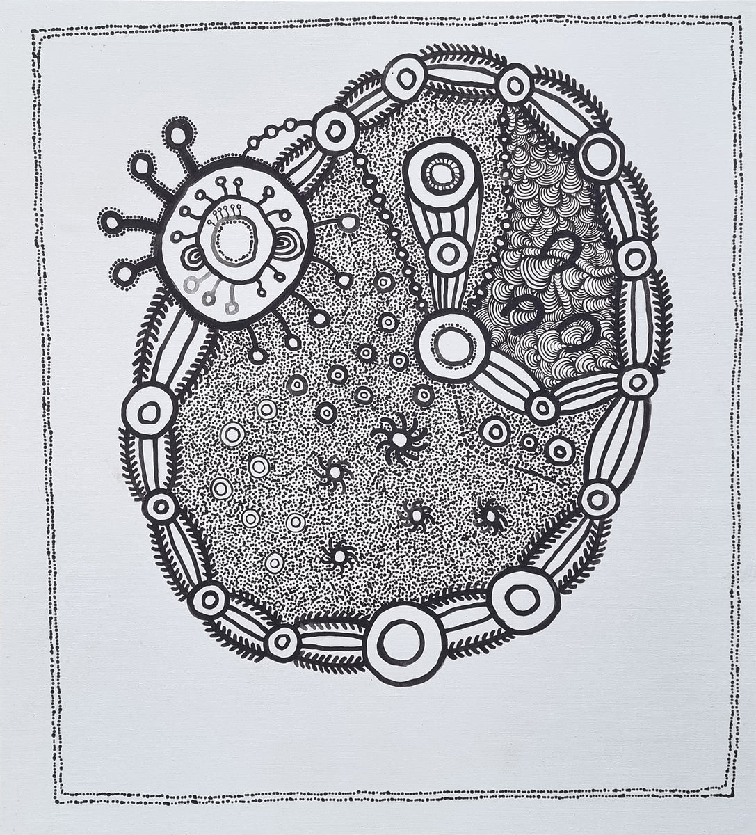 Tjala Tjukurpa (Honey Ant Dreaming)