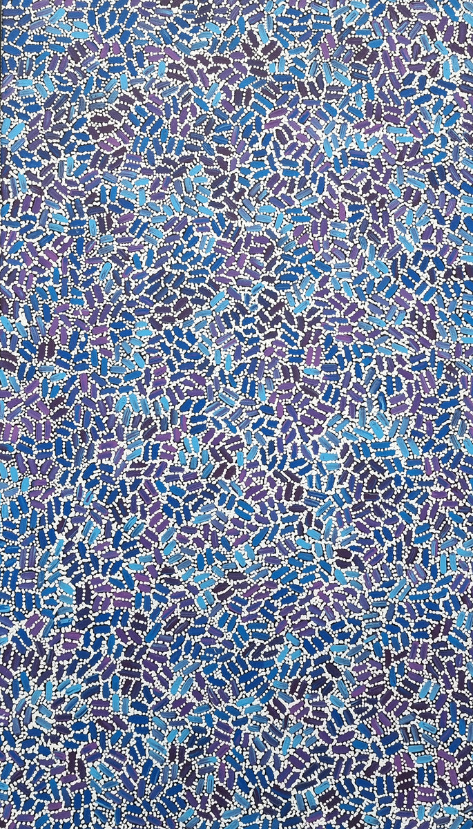 Warlukurlangu Jukurrpa (Fire Country Dreaming)