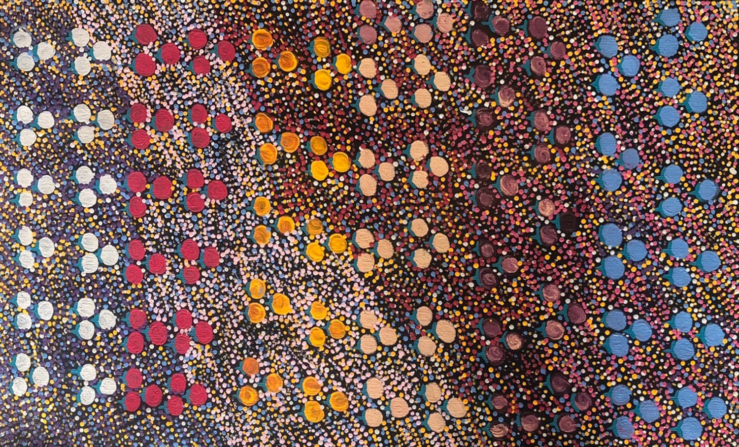 Bush Tomato Dreaming