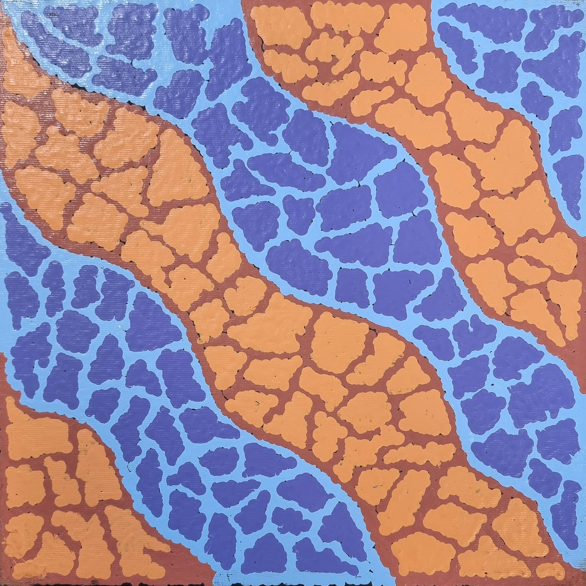 Ngapa Jukurrpa (Water Dreaming) Puyurru