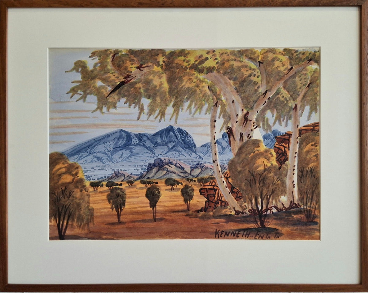 Ghost Gum in Landscape